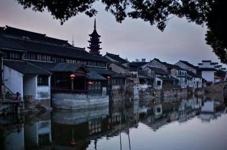 今年全市年增加粮食播种面积60万亩